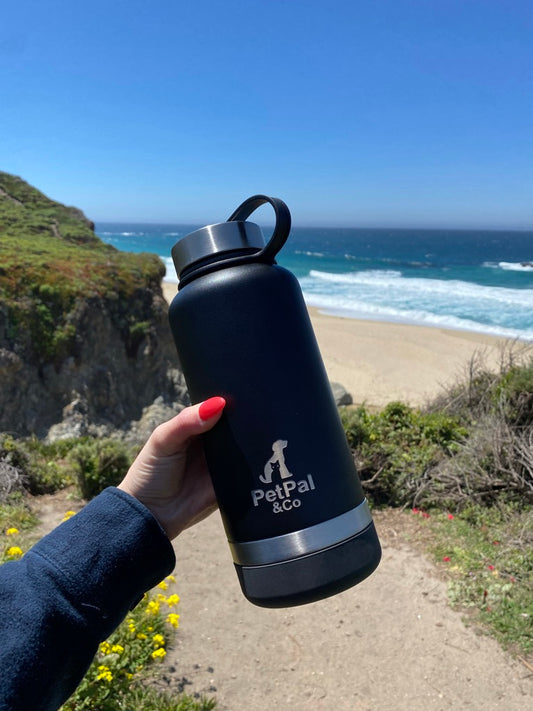 PetPal & Co. Pet Water Bottle