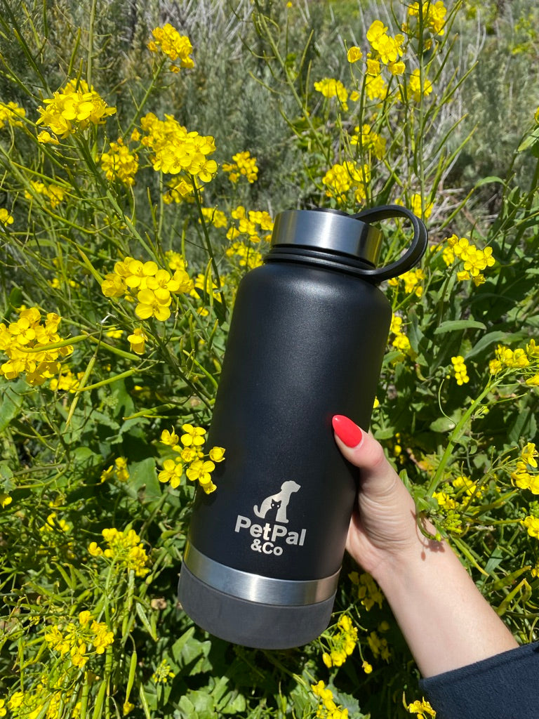 PetPal & Co. Pet Water Bottle